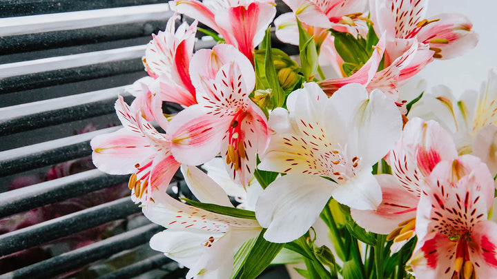 10 Long-Lasting Cut Flowers for Beautiful Bouquets