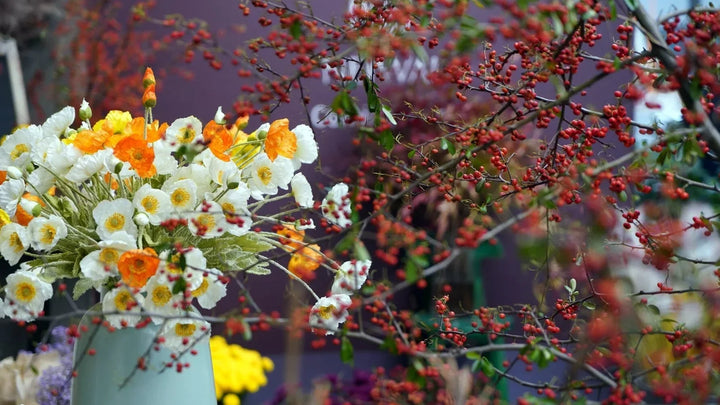 Behind the Scenes: A Day in the Life of a Flower from Farm to Vase