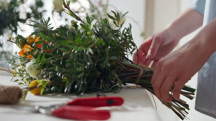 Long-Lasting Cut Flowers for Bouquets, Vases & Home Decor