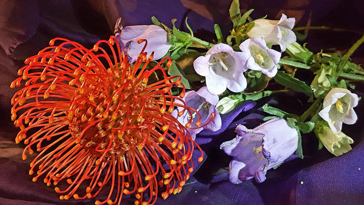 Rarest and Most Unique Flowers in the World