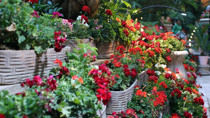 Sustainability in the Floral Industry: How Buying Bulk Benefits the Environment