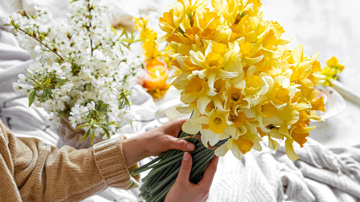 The Best Hypoallergenic Flowers for Allergy Sufferers: A Florist’s Guide
