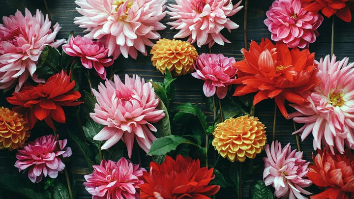 The Language of Flowers: Incorporating Floriography into Contemporary Arrangements