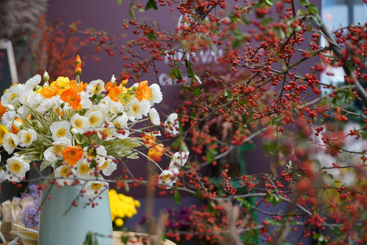 A Day in the Life of a Flower