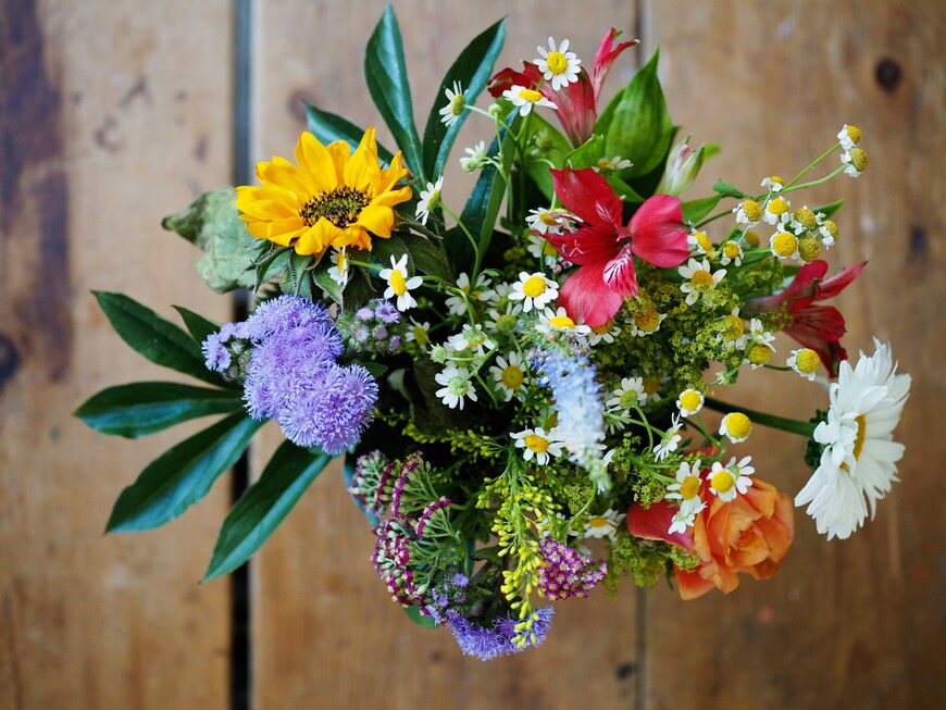 Cut Flower Food
