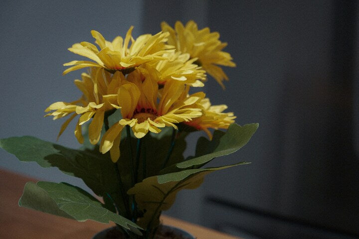 How to Choose the Right Flowers for Your Home