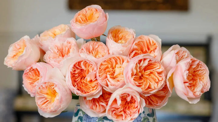 Rarest and Most Unique Flowers in the World