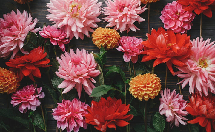 Floriography bouquet