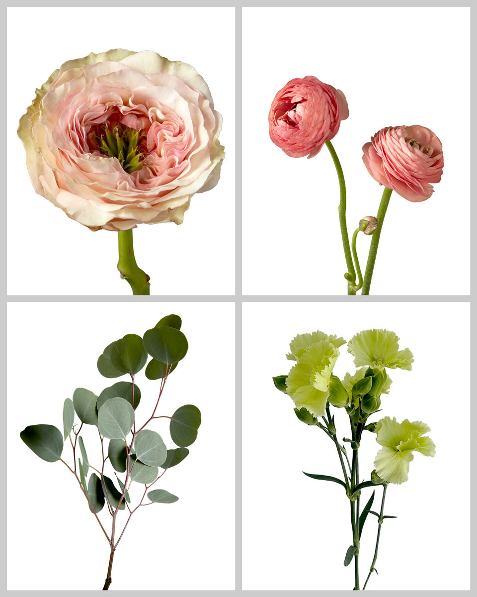 Beautiful Blooms Mixed Box #506
