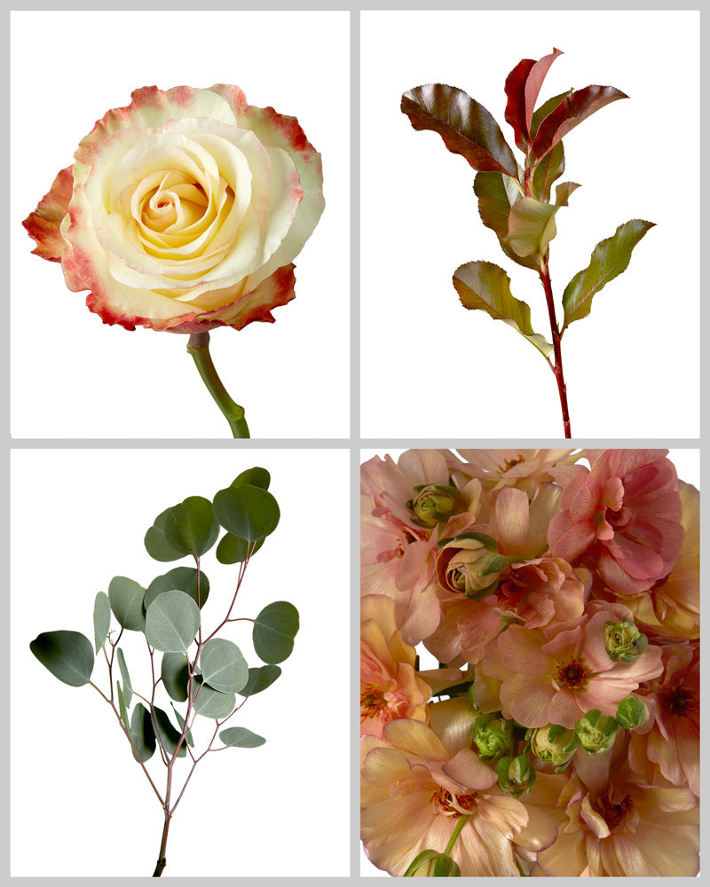 Wholesale Roses Mixed Box #425 | PetalJet