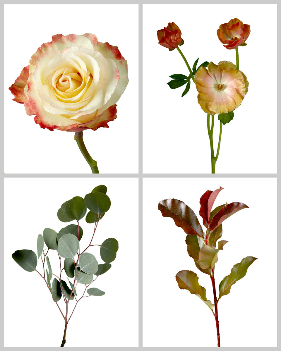 Beautiful Blooms Mixed Box #510