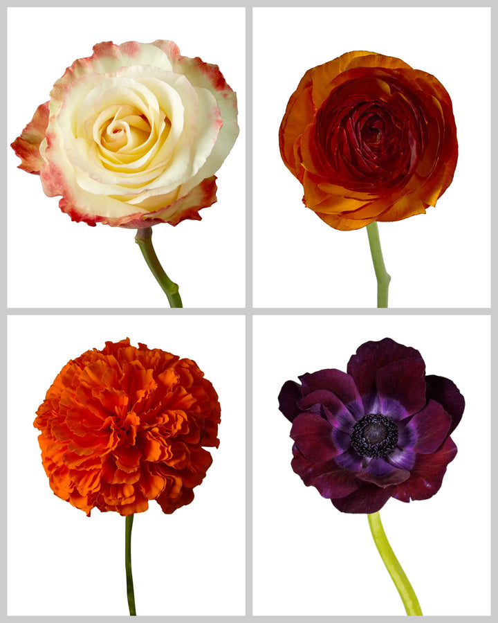 Beautiful Blooms Mixed Box #514