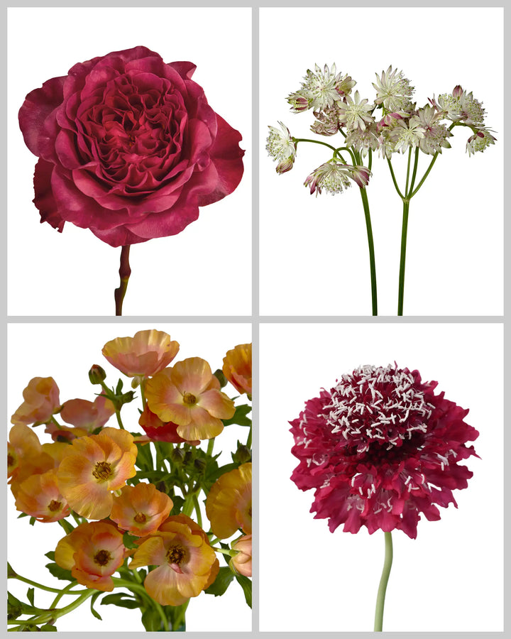 Beautiful Blooms Mixed Box #514