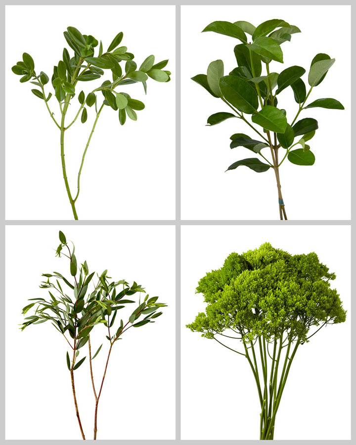 Designer Greens Mixed Box #756 Valentine's Day