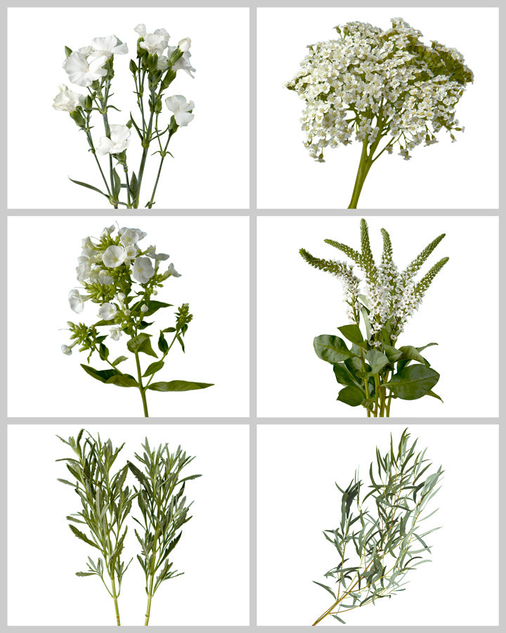 Fillers &amp; Greens Mixed Box #704