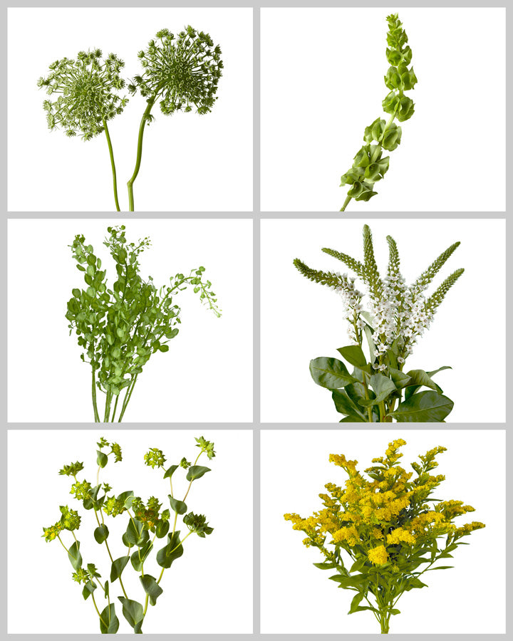 Fillers & Greens Mixed Box #708 Valentine's Day