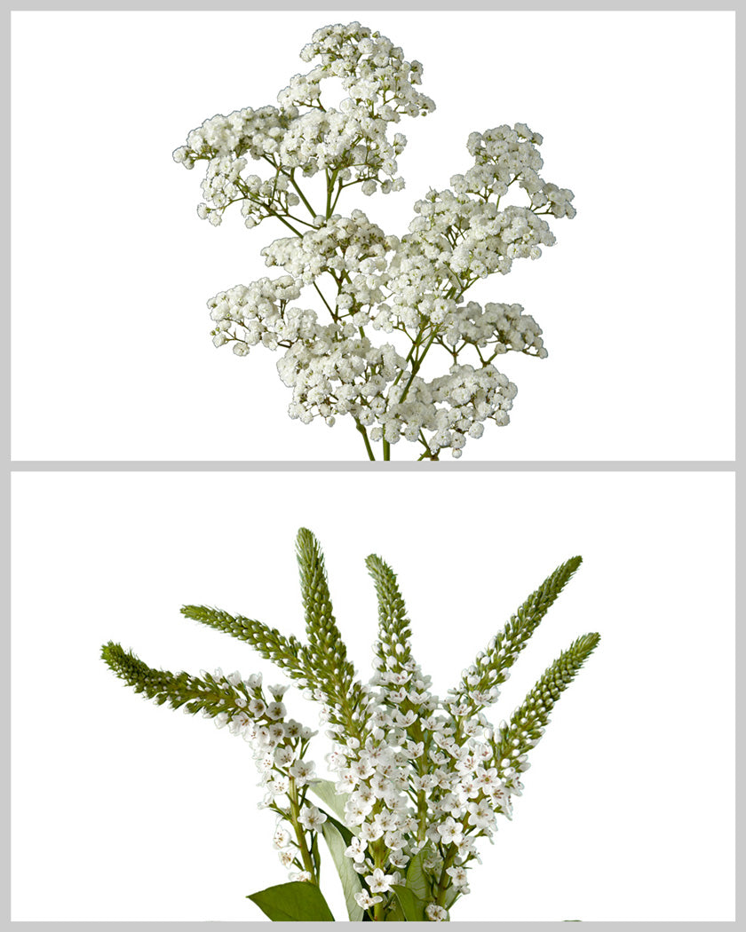 Fillers Mixed Box #141 Mother's Day