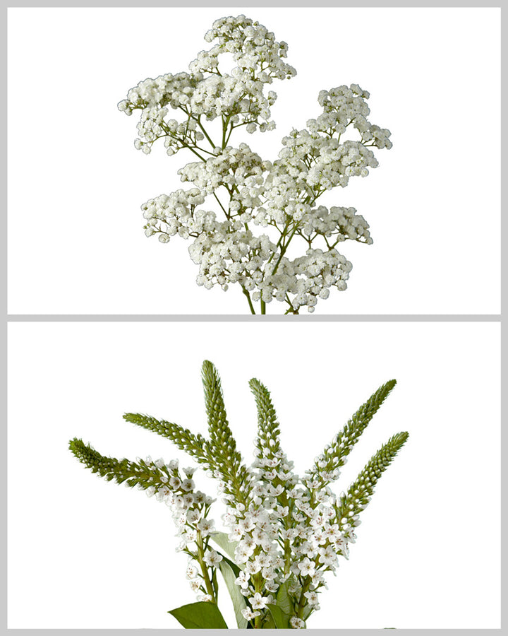 Fillers Mixed Box #141 Mother's Day