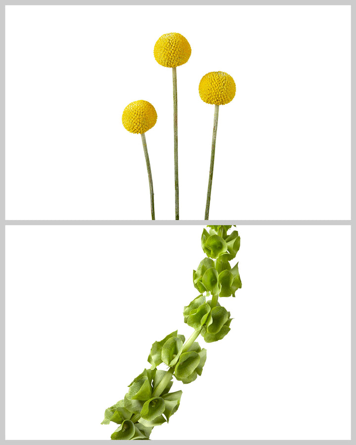 Fillers Mixed Box #142 Mother's Day