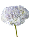 Super Select Soft Lilac Hydrangea