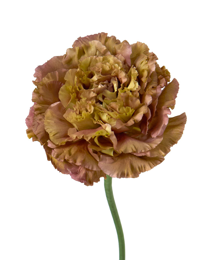 Voyage Terracotta Lisianthus