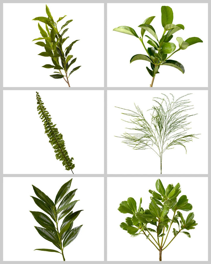 Designer Greens Mixed Box #748 Valentine's Day