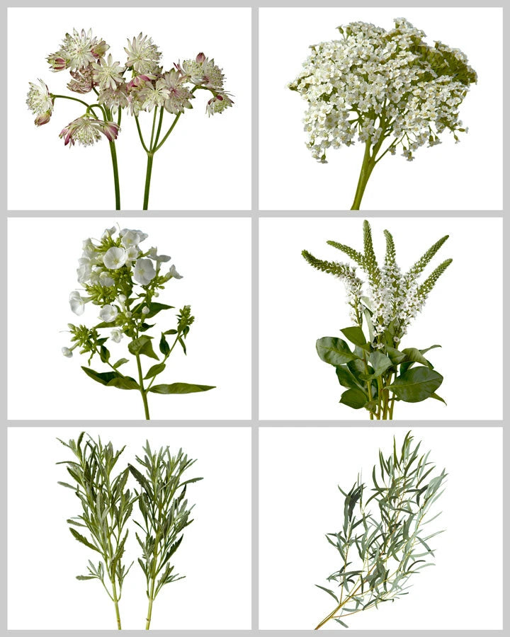 Fillers &amp; Greens Mixed Box #704 Valentine's Day