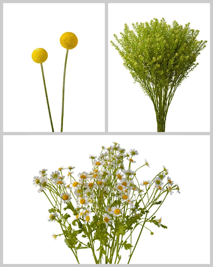 Fillers &amp; Greens Mixed Box #705 Valentine's Day