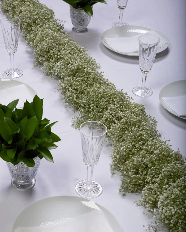 Wholesale Gypsophila Xlence Garland Runner | PetalJet