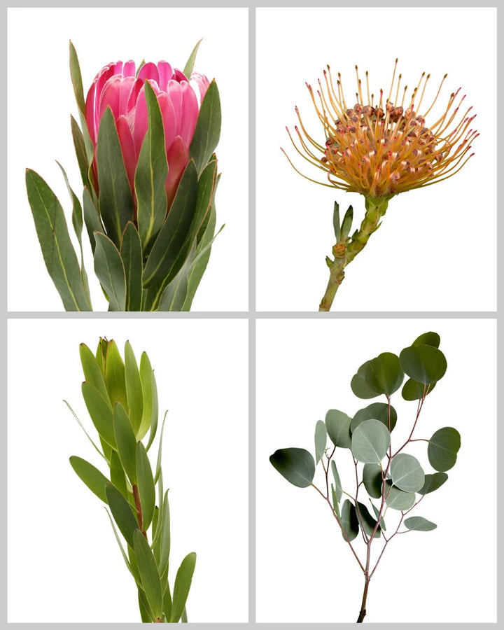 Protea Assorted Box #929
