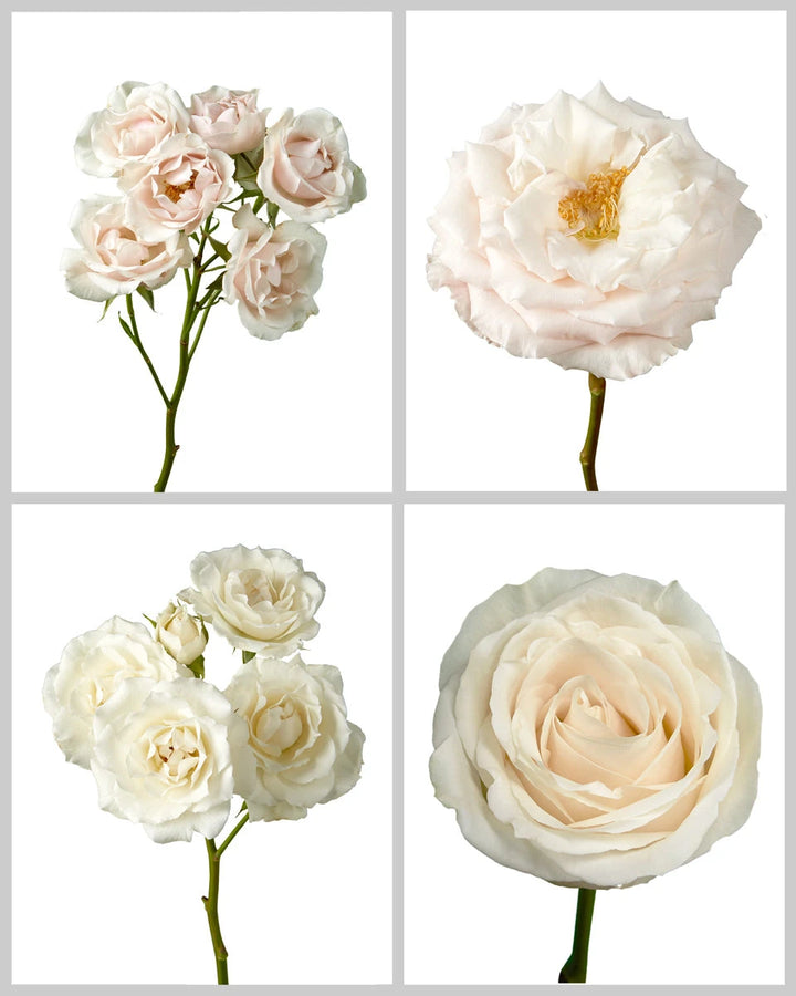 Roses Mixed Box #048 Valentine's Day