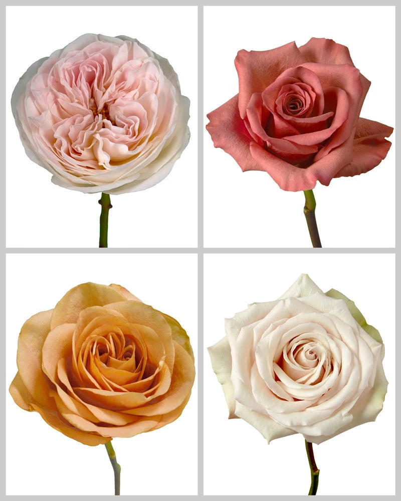 Roses Mixed Fall Wedding Box #192