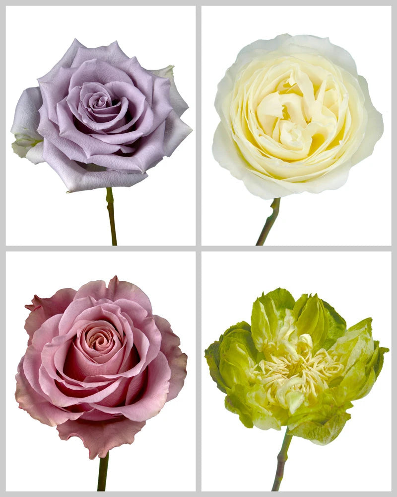 Roses Mixed Fall Wedding Box #196