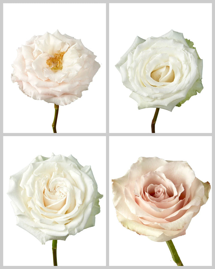 Roses Mixed Wedding Box #181