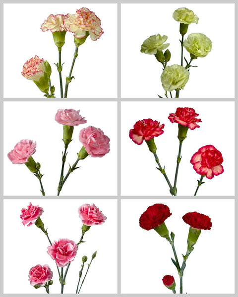 optimized_1760488048.webp?v=