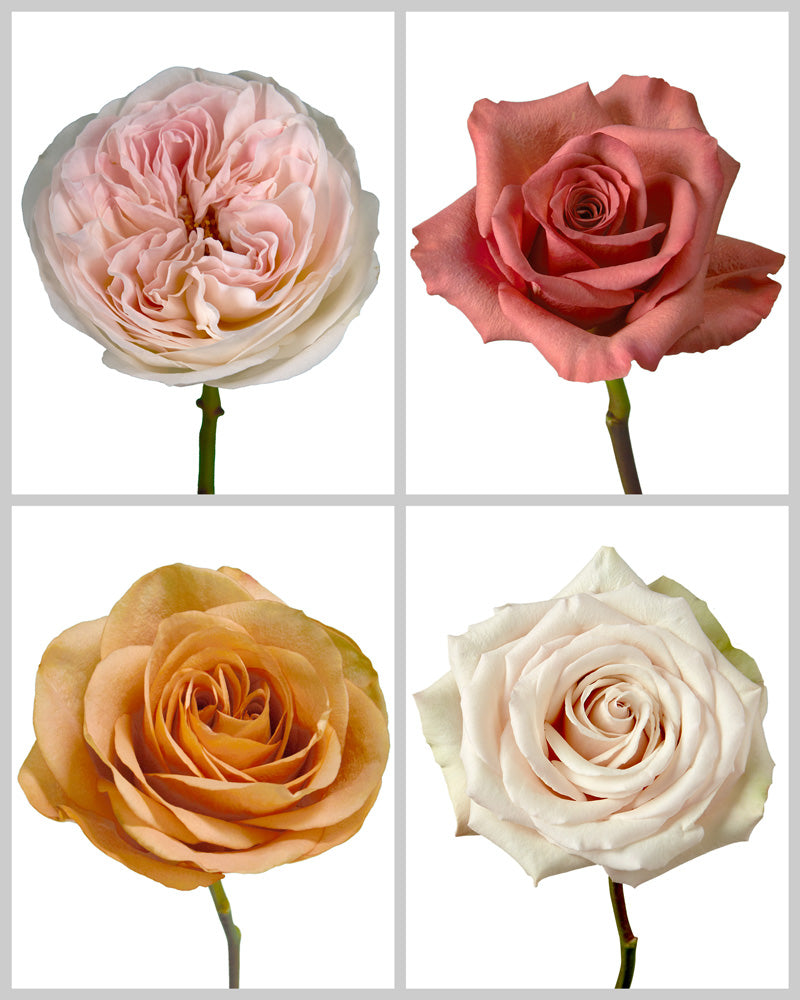 Roses Mixed Fall Wedding Box #192