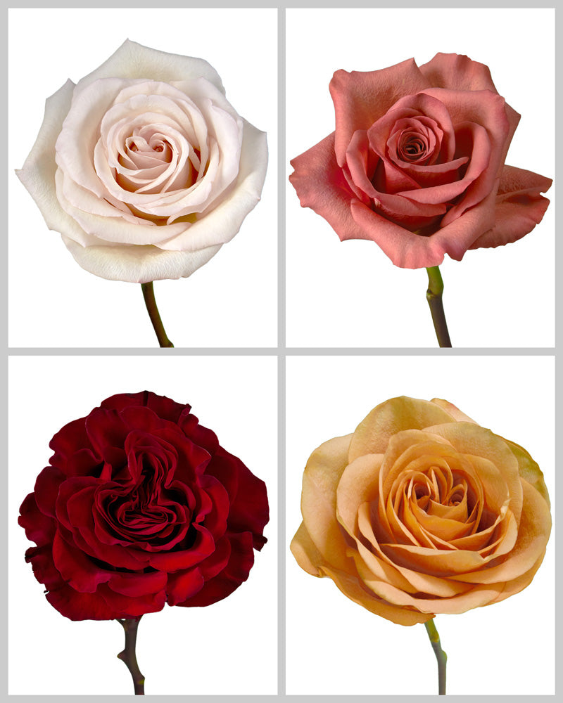 Roses Mixed Fall Wedding Box #193
