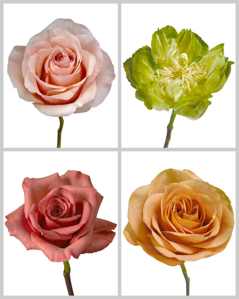 Roses Mixed Fall Wedding Box #194