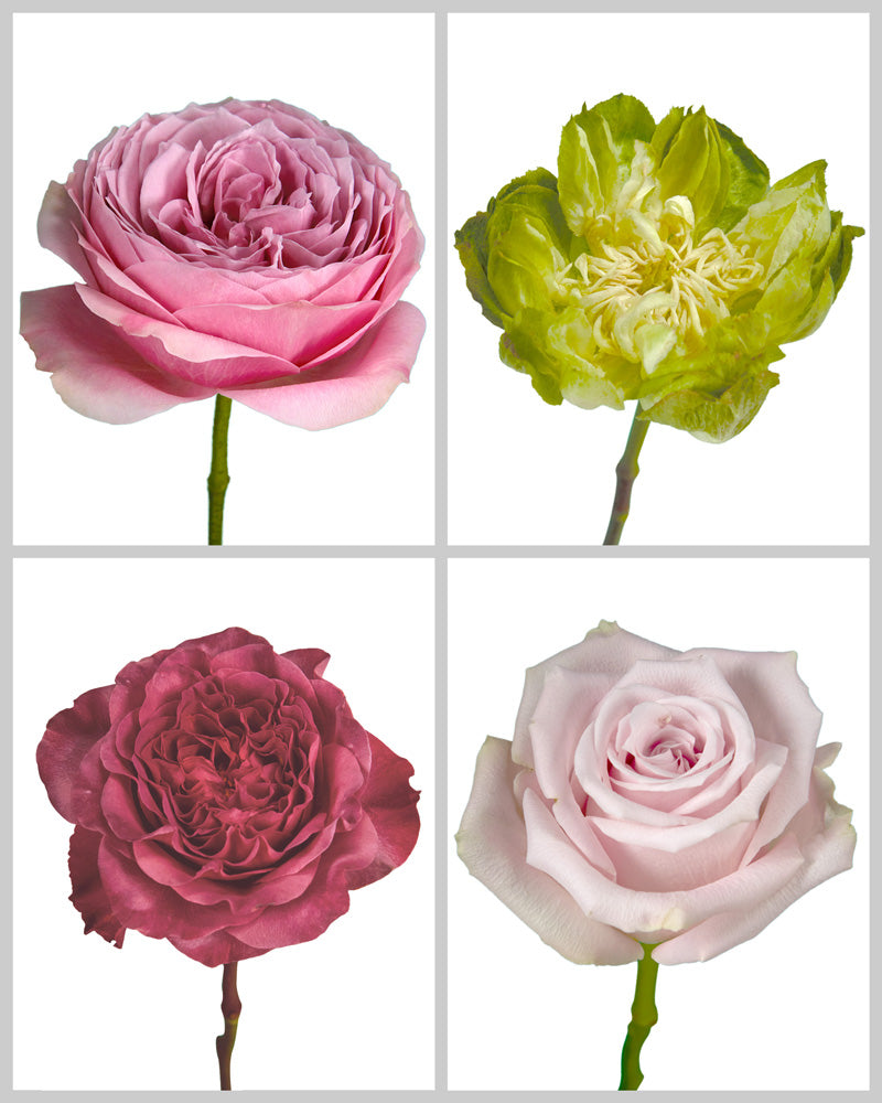 Roses Mixed Fall Wedding Box #195