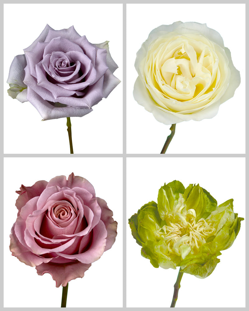 Roses Mixed Fall Wedding Box #196