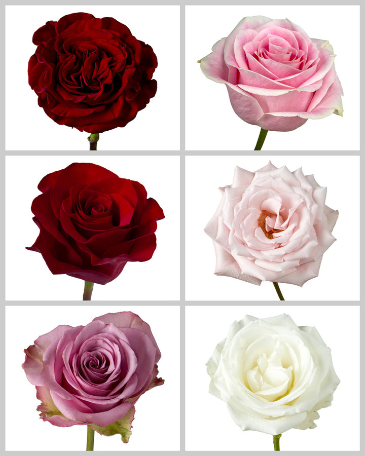 Roses Mixed Box #025 Valentine's Day (57% Red Roses)