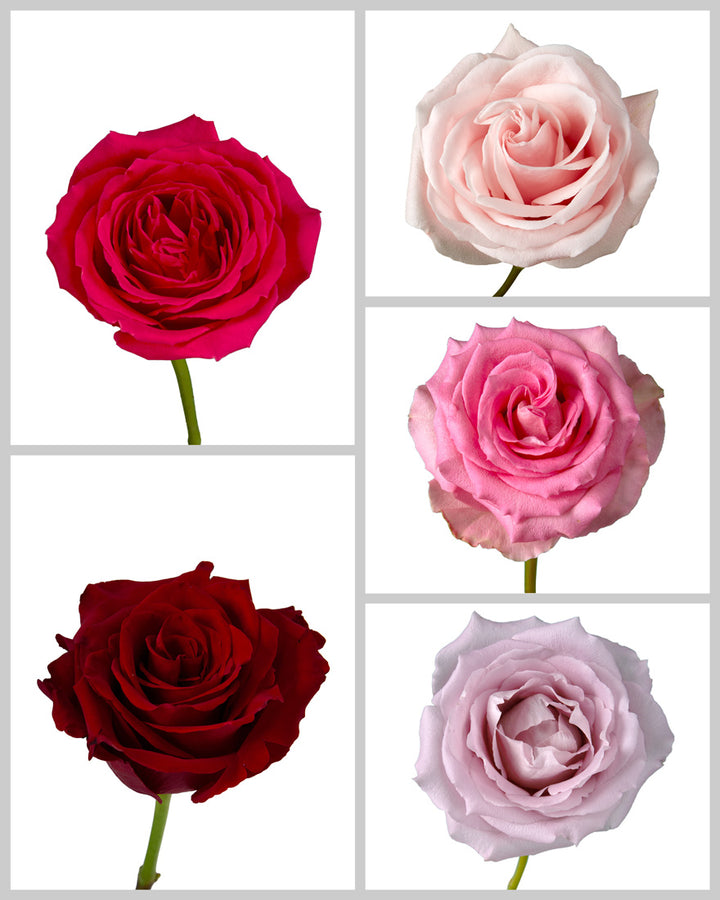 Roses Mixed Box #046 Valentine Day (28% Red Roses)