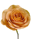 Symbol Rose