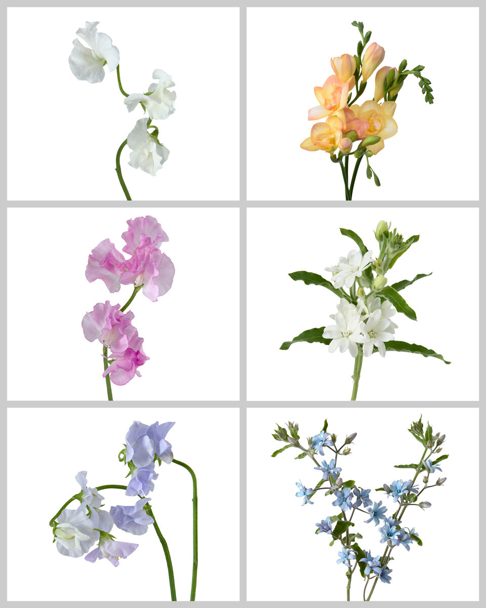 Summer Flowers Mixed Box #130