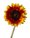 Firework Sunflower