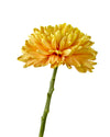Rosano Orange Cremon Chrysanthemum